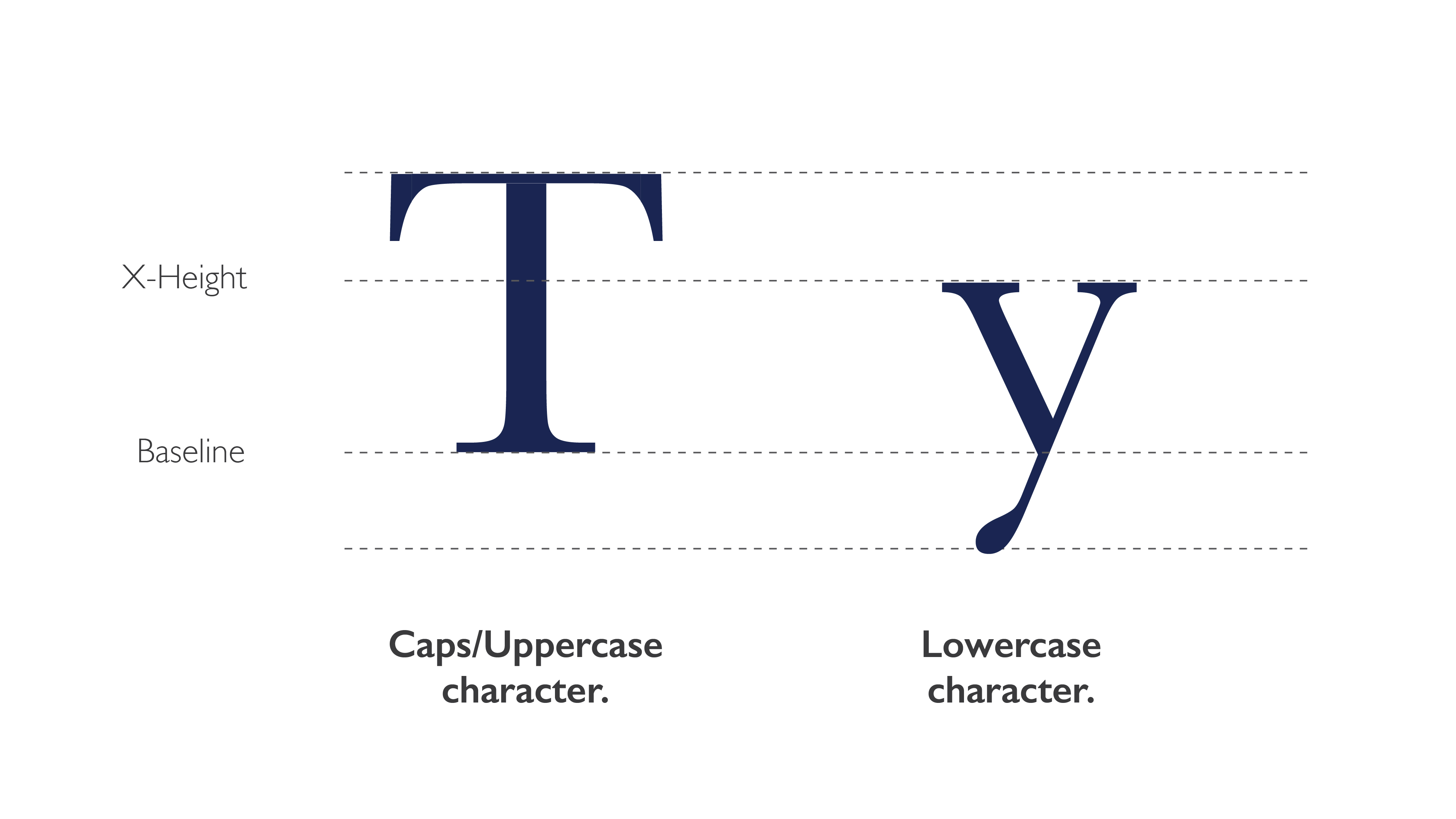 type anatomy example type anatomy case example